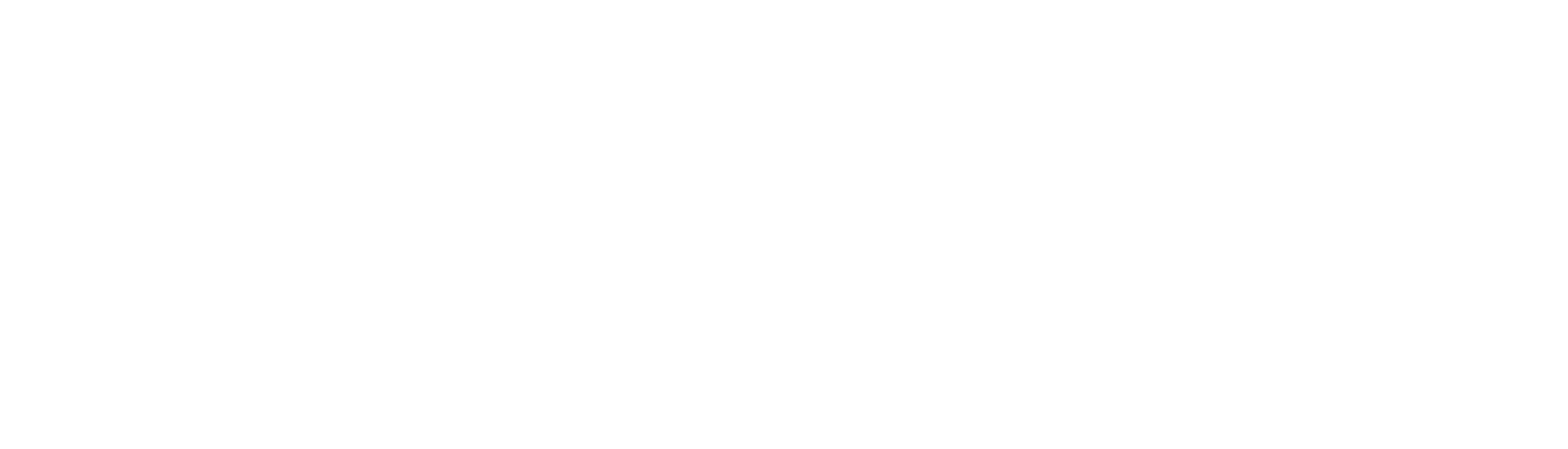Prime Original logo in white
